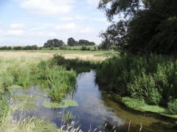 A gentle stretch of the River Nar, with meadow, fields and hedgerows in the background. Norfolk Rivers IDB