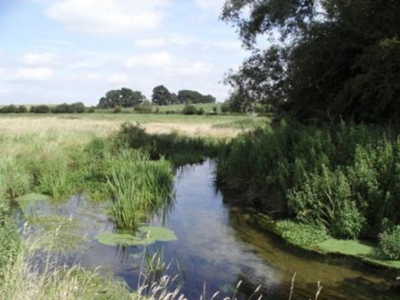 A gentle stretch of the River Nar, with meadow, fields and hedgerows in the background. Norfolk Rivers IDB.