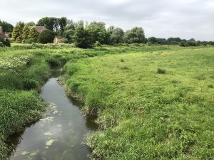 Freshwater feed on the Cuckmere River