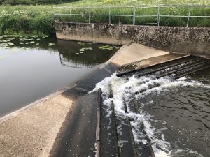 Sessingham Weir on the Cuckmere River