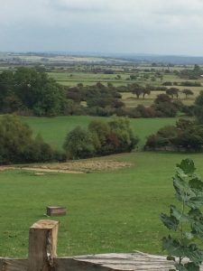 Field views across the Pevensey Levels